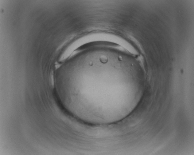 X0000061750020200512231537