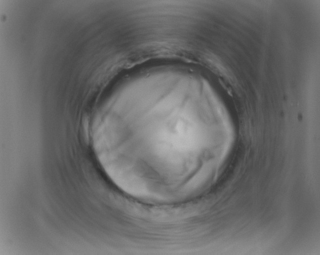 X0000061750022200512231537