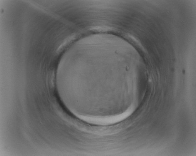 X0000061750023200512231537