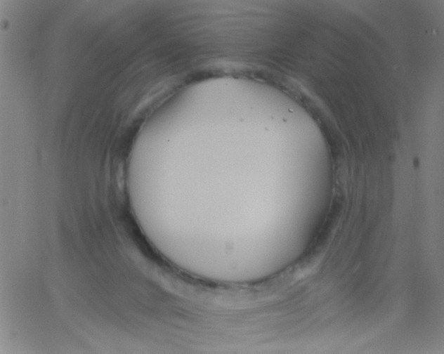 X0000061750024200512231537