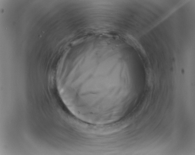 X0000061750026200512231537