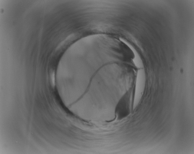 X0000061750027200512231537