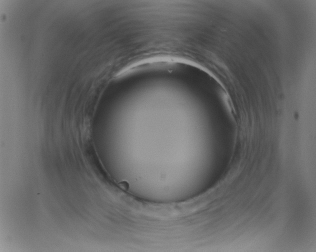 X0000061750029200512231537