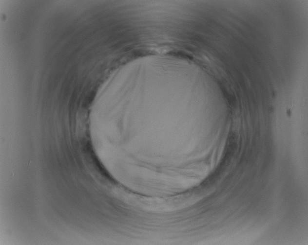 X0000061750030200512231537