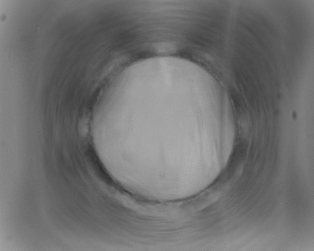 X0000061750032200512231537