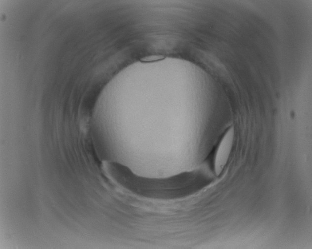 X0000061750033200512231537