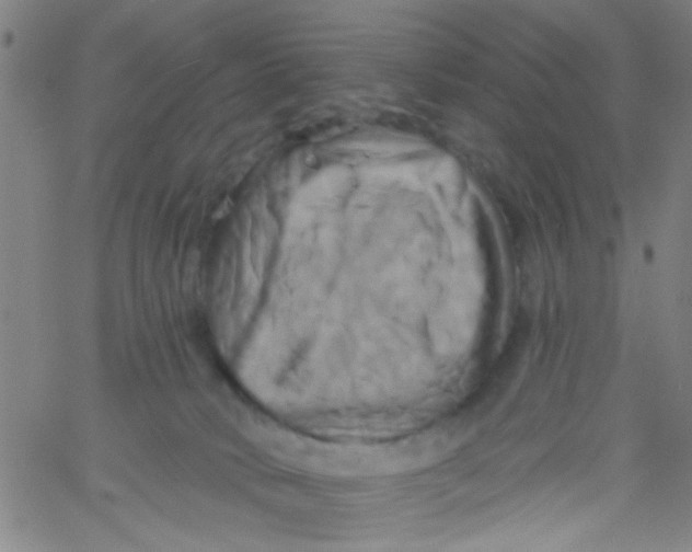 X0000061750034200512231537