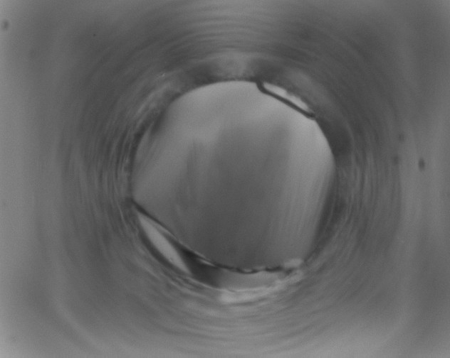 X0000061750035200512231537