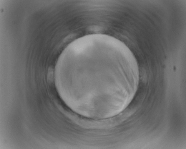 X0000061750036200512231537