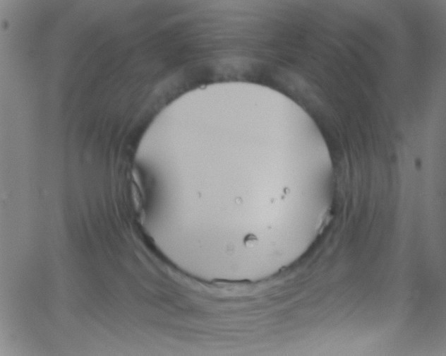 X0000061750038200512231537