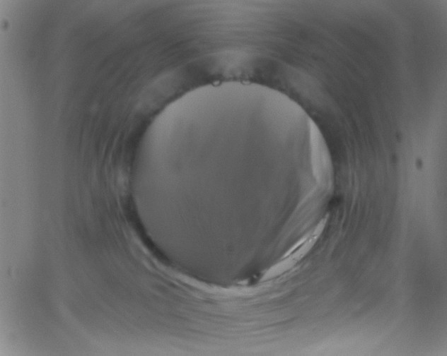 X0000061750039200512231537