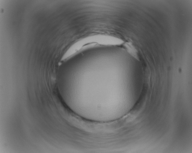 X0000061750040200512231537