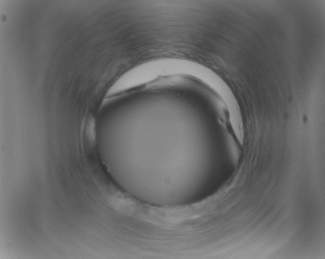 X0000061750041200512231537