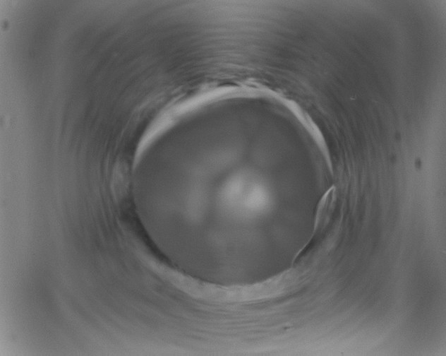 X0000061750043200512231537