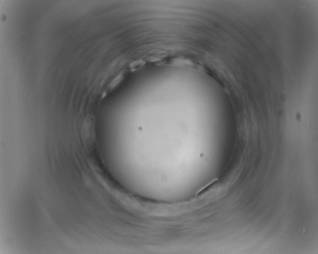 X0000061750044200512231537