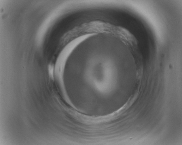 X0000061750047200512231536