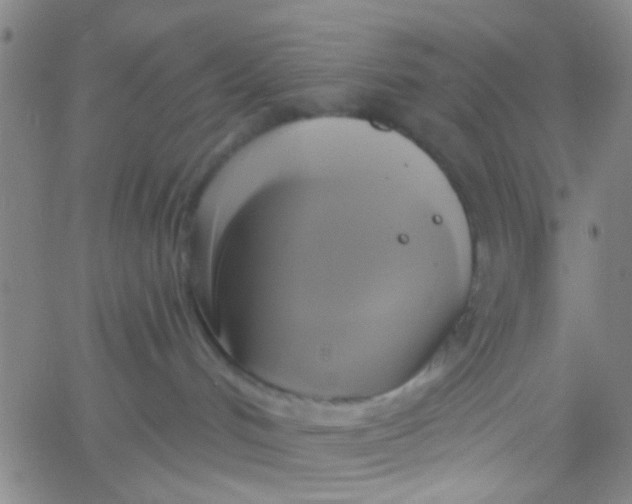 X0000061750048200512231536