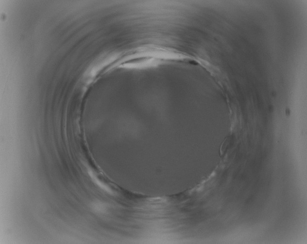 X0000061750050200512231536