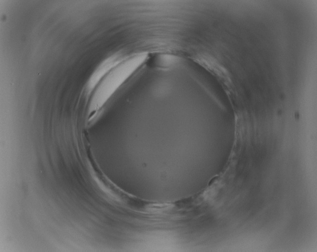 X0000061750051200512231536