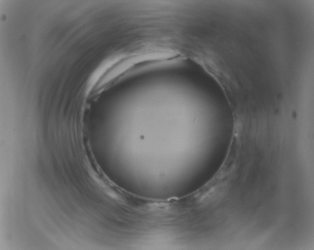 X0000061750052200512231536