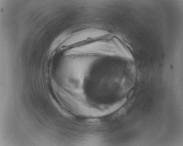 X0000061750053200512231536