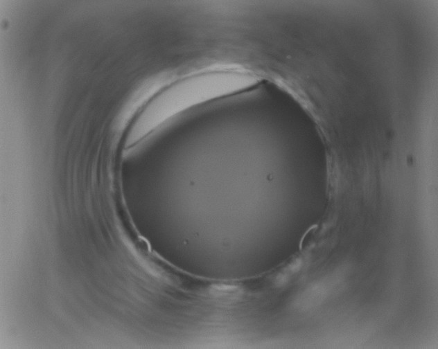 X0000061750055200512231536