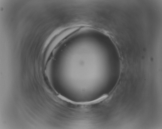 X0000061750056200512231536