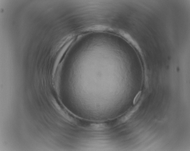 X0000061750057200512231536