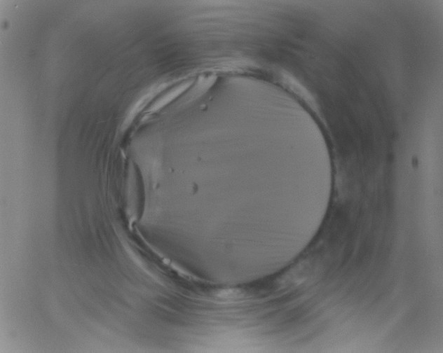 X0000061750059200512231536