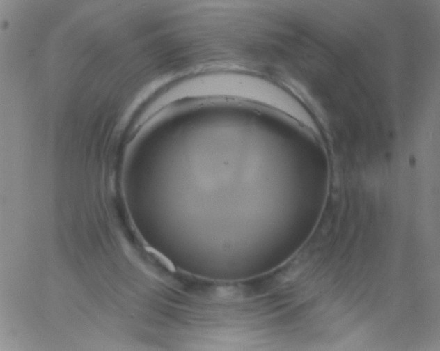 X0000061750060200512231536