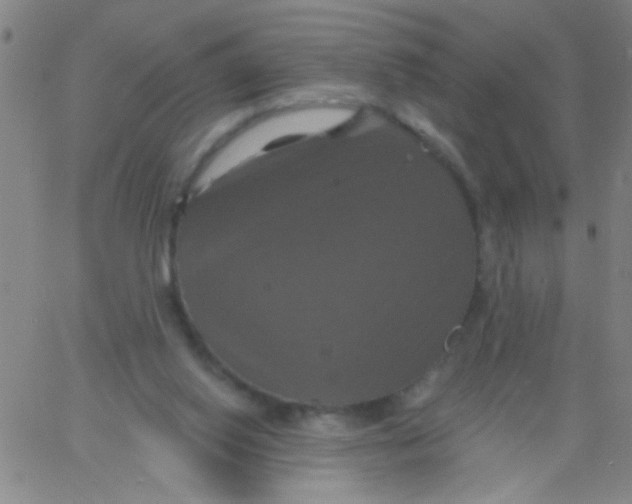 X0000061750062200512231536