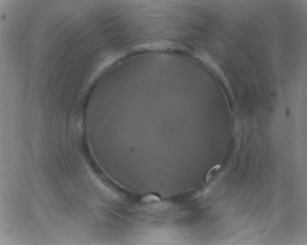 X0000061750063200512231536