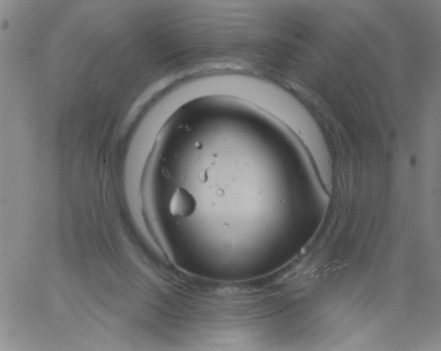 X0000061750064200512231536