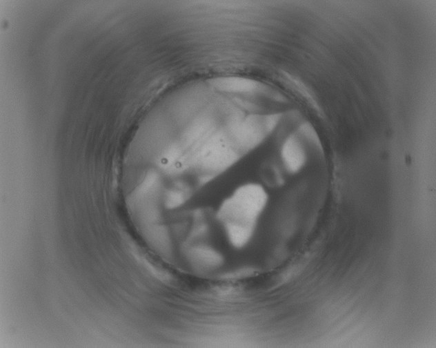 X0000061750065200512231536