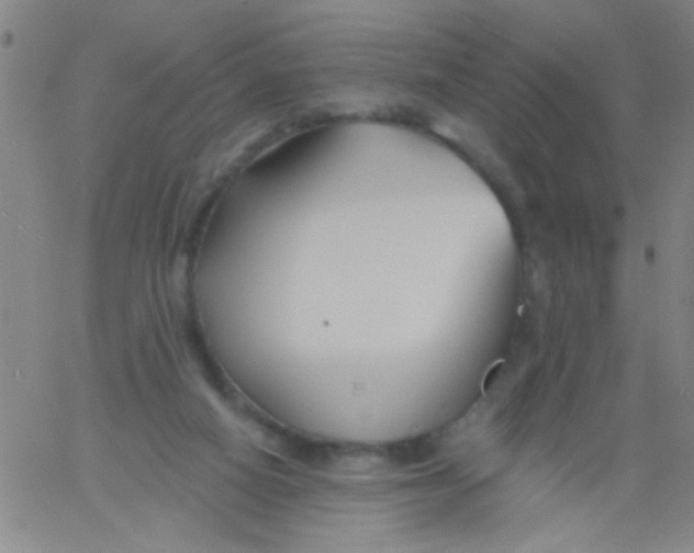 X0000061750066200512231536