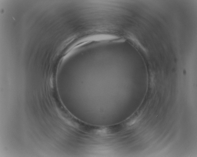 X0000061750068200512231536