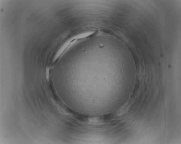 X0000061750070200512231536