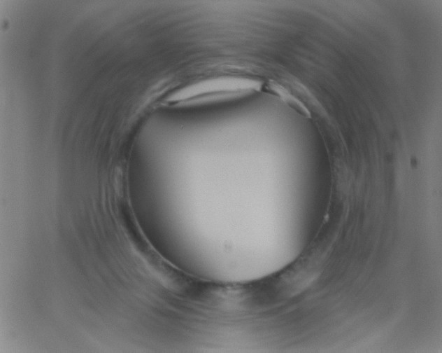 X0000061750071200512231536