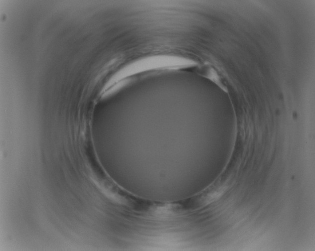 X0000061750072200512231536