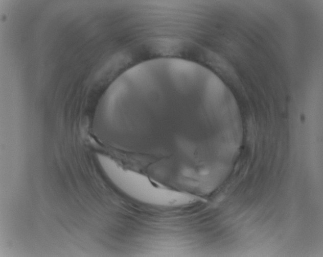 X0000061750073200512231536