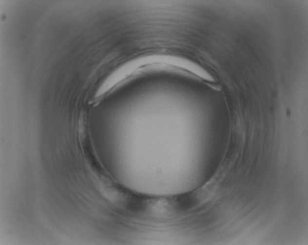 X0000061750074200512231536