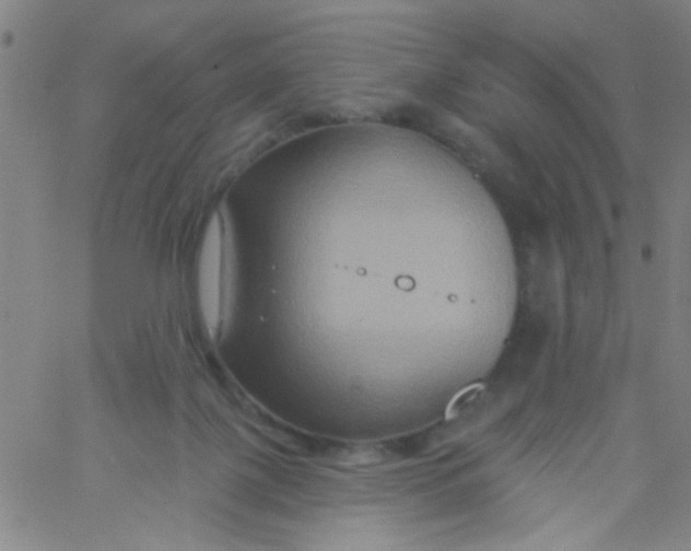 X0000061750075200512231536