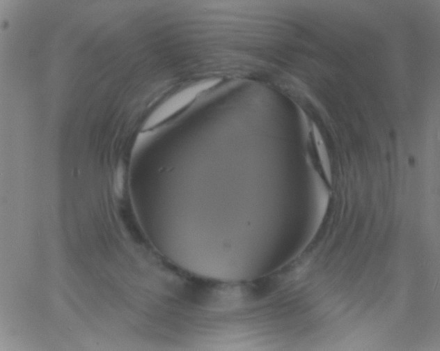 X0000061750076200512231536