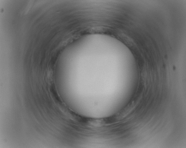 X0000061750079200512231536