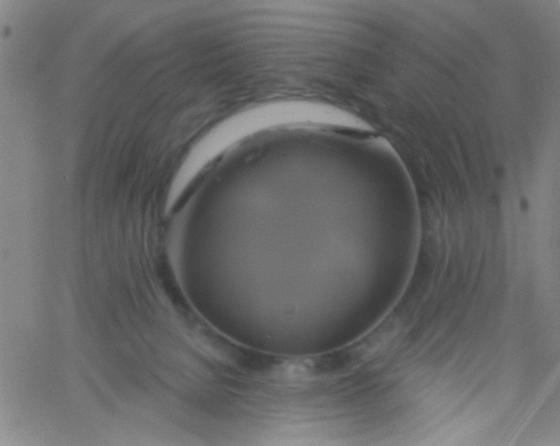 X0000061750080200512231536