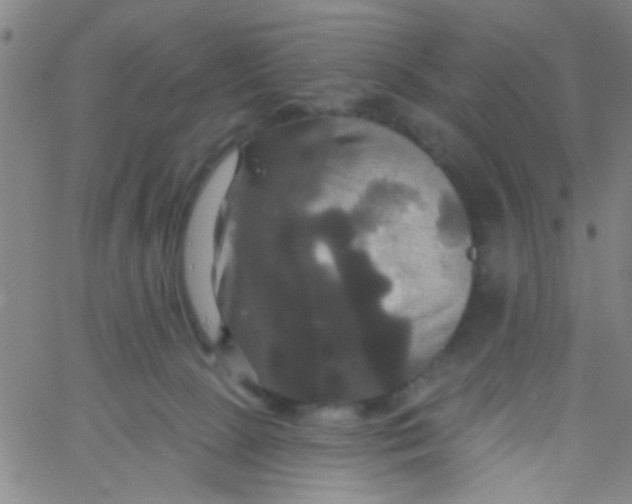 X0000061750081200512231536