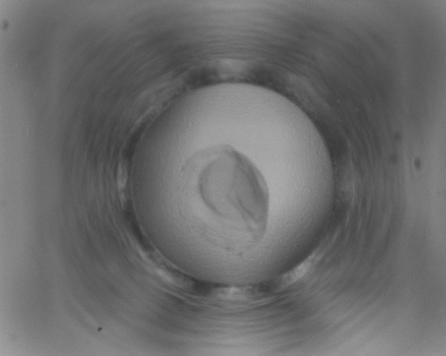 X0000061750082200512231536