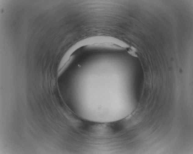 X0000061750086200512231536