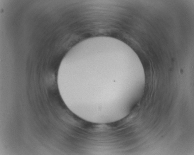 X0000061750087200512231536