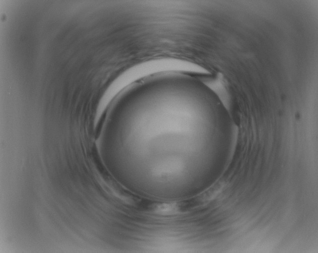 X0000061750088200512231536